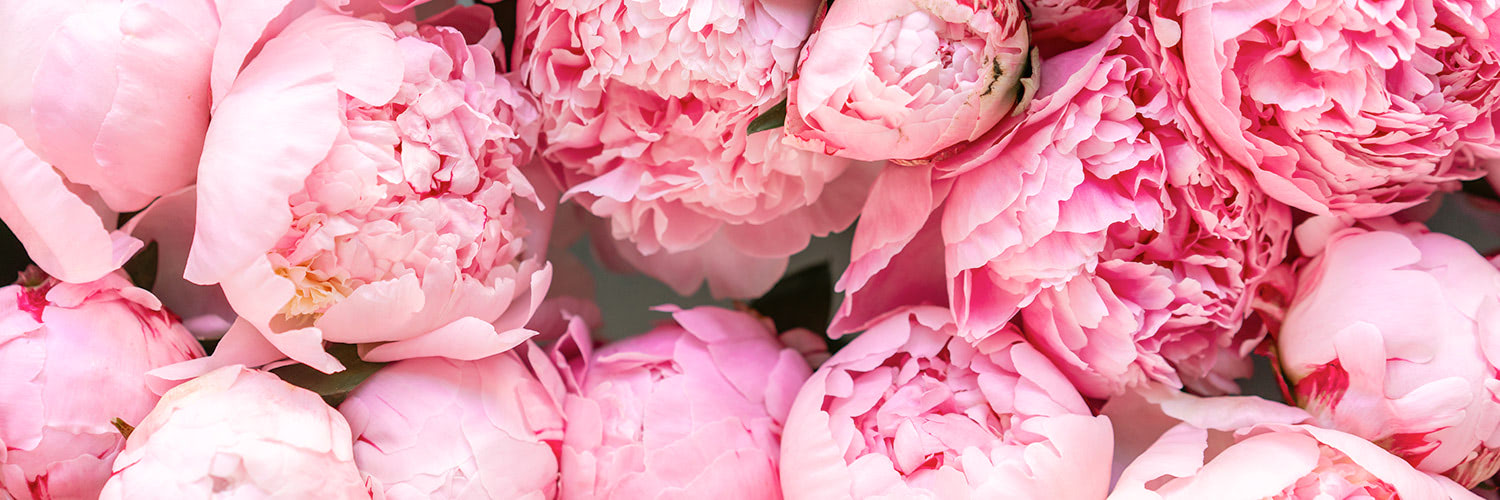 Pink peonies cluster tightly, their lush petals in various stages of bloom, creating a vibrant, textured bouquet. Background is blurred greenery.