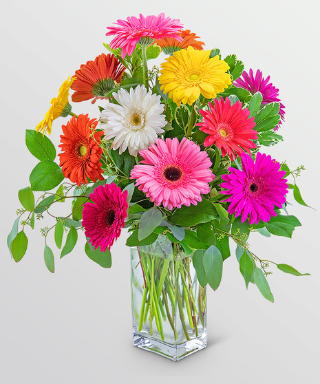 Gleeful Gerberas