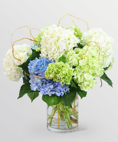 Luxe Hydrangea